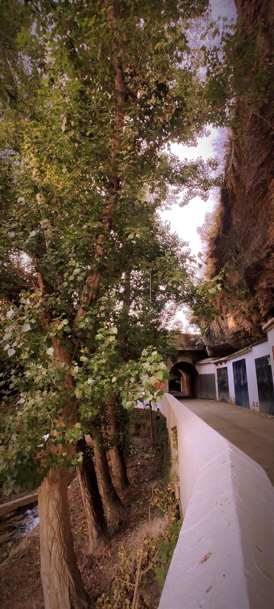 Casa Cueva Las Chicas Del Puente Setenil De Las Bodegas 외부 사진